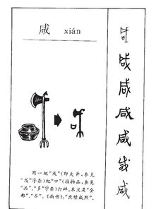 咸的拼音和意思，咸鱼的拼音