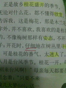 应该的近义词是什么 标准答案，新奇的近义词