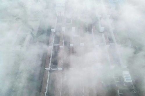 白雾是什么物态变化