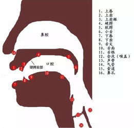 “管”字的拼音是什么?