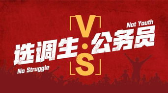 定向选调生好吗，乡镇定向选调生好吗