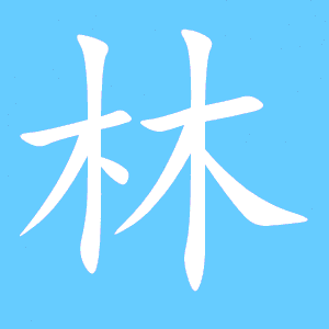 林的笔顺怎么写