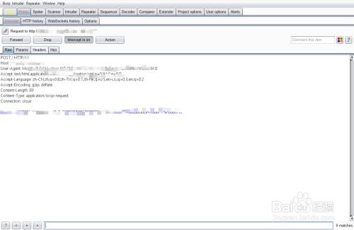 burpsuite，burpsuite安装详细教程