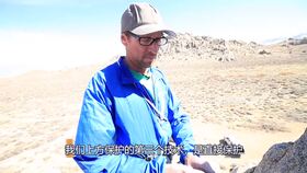 OH是什么英文缩写