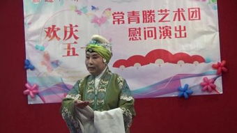 杨门女将是哪一年拍的