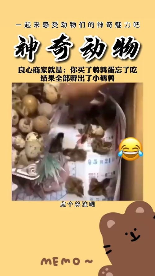 良心是什么