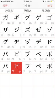 质字拼音