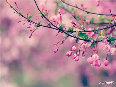 春寒古诗 春寒原文及翻译