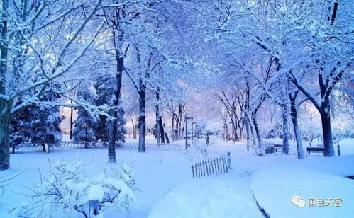 雪魂的介绍