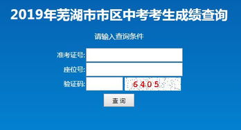 芜湖中考成绩查询时间2020，芜湖中考成绩查询入口开通了吗