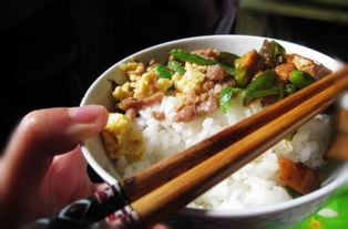 热饭菜可以直接放冰箱冷藏吗，热饭可以做蛋炒饭吗