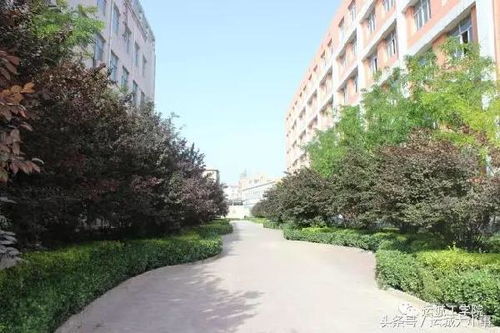 运城工学院是中专还是大专，运城工学院招生办电话