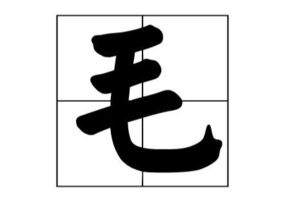 毛偏旁部首是什么