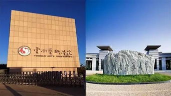 艺术大学有哪些学校