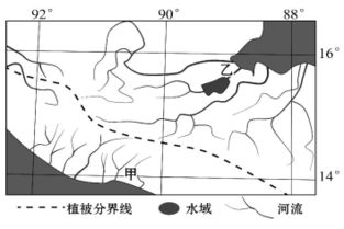 植被的拼音怎么写的拼，植被是什么意思?
