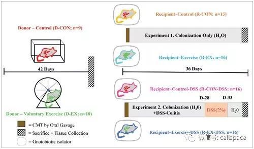 microbes and infection影响因子，Microbes怎么读