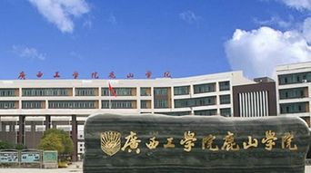 广西鹿山学院是大专么