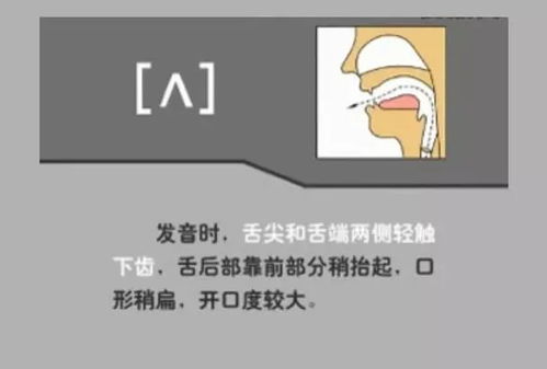 在英语语法中,有哪些短元音字母?