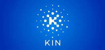 名字后面加kin是什么意思啊