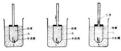 渗透压是指