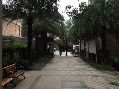 碧城诀，碧城是哪个省的城市