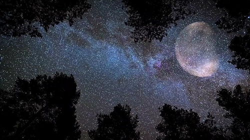 美丽的星空作文，美丽的星空作文300字
