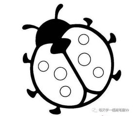 瓢虫简笔画图片，五星瓢虫简笔画