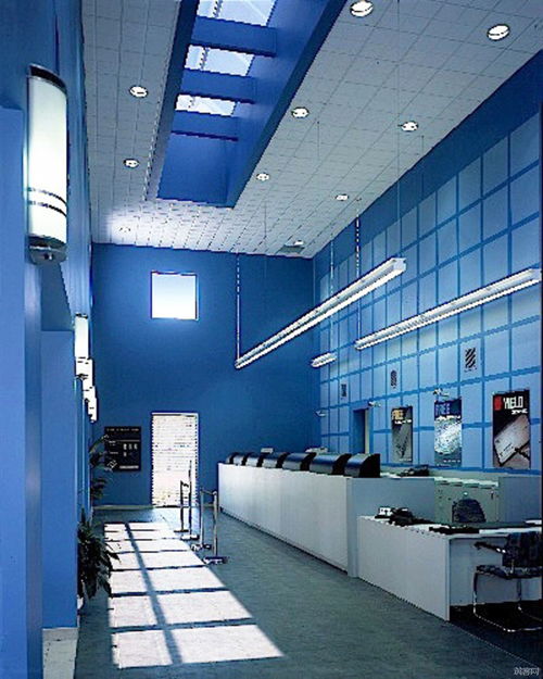 interior ai，interior反义词