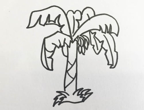 香蕉树的正确种植方法是什么