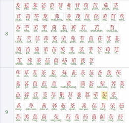 草字旁有什么字