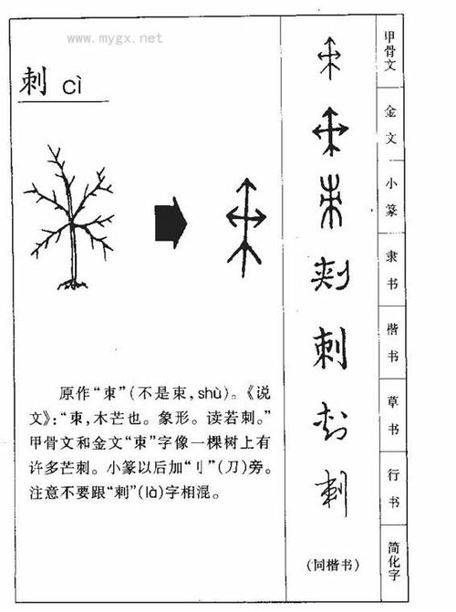 刺的读音