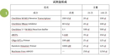 cdna是什么意思文库，cdna是什么意思高中