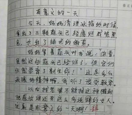 读万卷书行万里路五年级作文