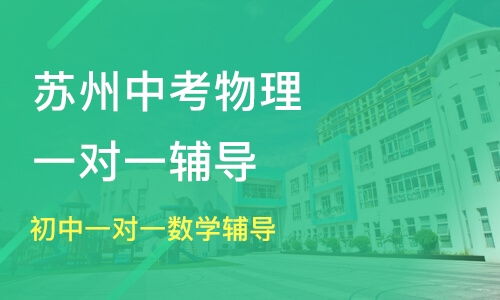 初中一对一辅导语文有效果吗