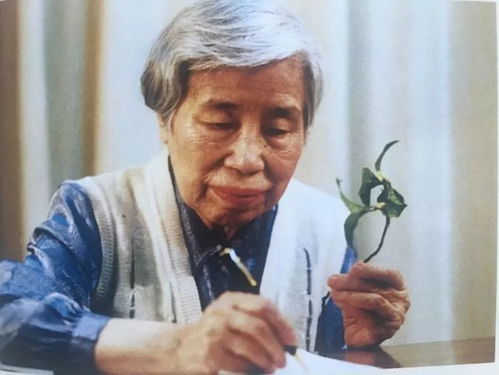 琦君简介及代表作品，琦君简介资料