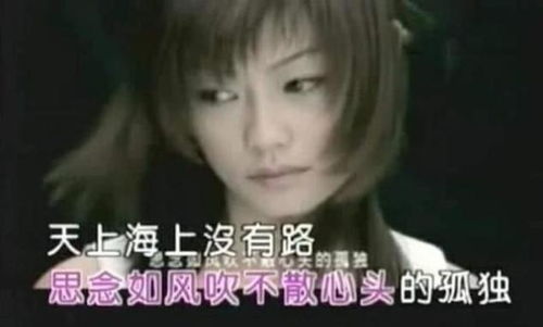 月亮偷着哭歌词表达什么