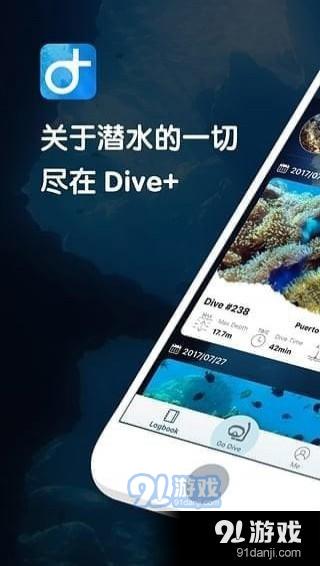 dive是什么意思