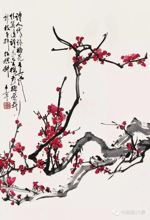 画梅博主，画梅花视频