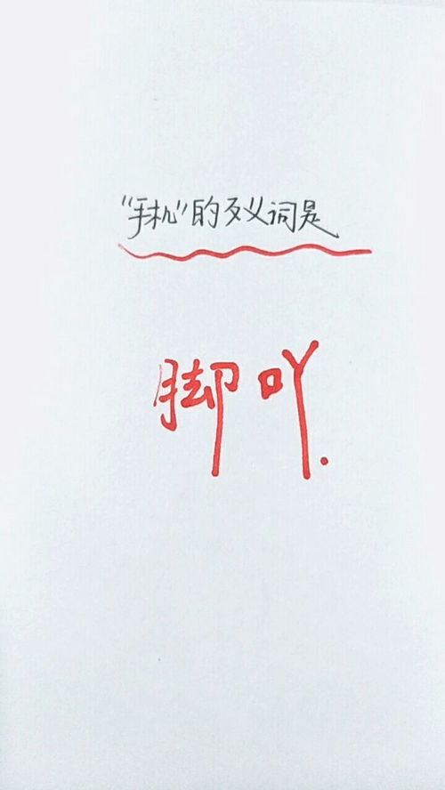 飘浮的反义词是什么呢，漂浮反义是什么词
