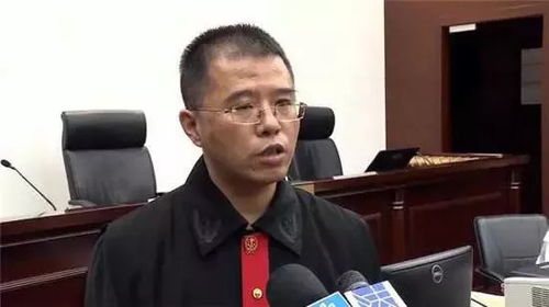 意义,异议,疑议,忆忆怎么分别?意思是什么?