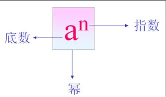 底数是什么意思啊?