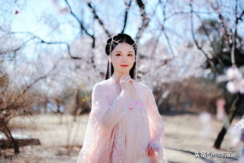 做人别太冰清玉洁是什么意思，冰清玉洁是什么意思它还可以用来形容哪些事物