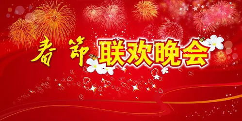 春晚优秀作文