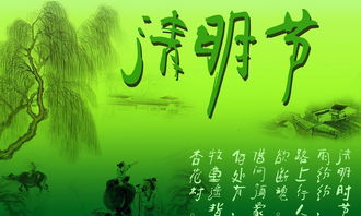 清明感怀诗词，清明感怀诗