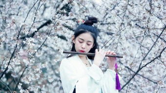 《临江仙·夜登小楼记洛中旧游》(陈与义)译文赏析