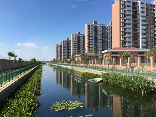 泄洪河道是什么意思，有理的街道无理的河道是什么意思