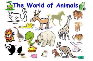 animal怎么读语音，animals怎么读 意思