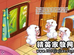 《神奇校车》读后感二年级作文10篇