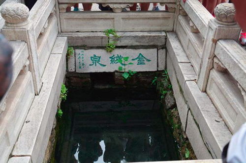 京字组词，睛字组词