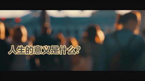 生涯的意思